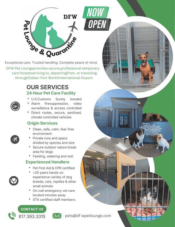 DFW Pet Lounge Day Boarding Services Flyer